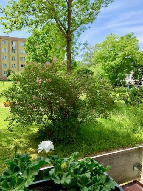Apartman Snyt Primka Olomouc Buitenkant foto