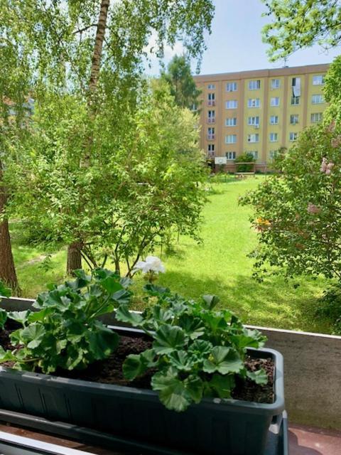 Apartman Snyt Primka Olomouc Buitenkant foto
